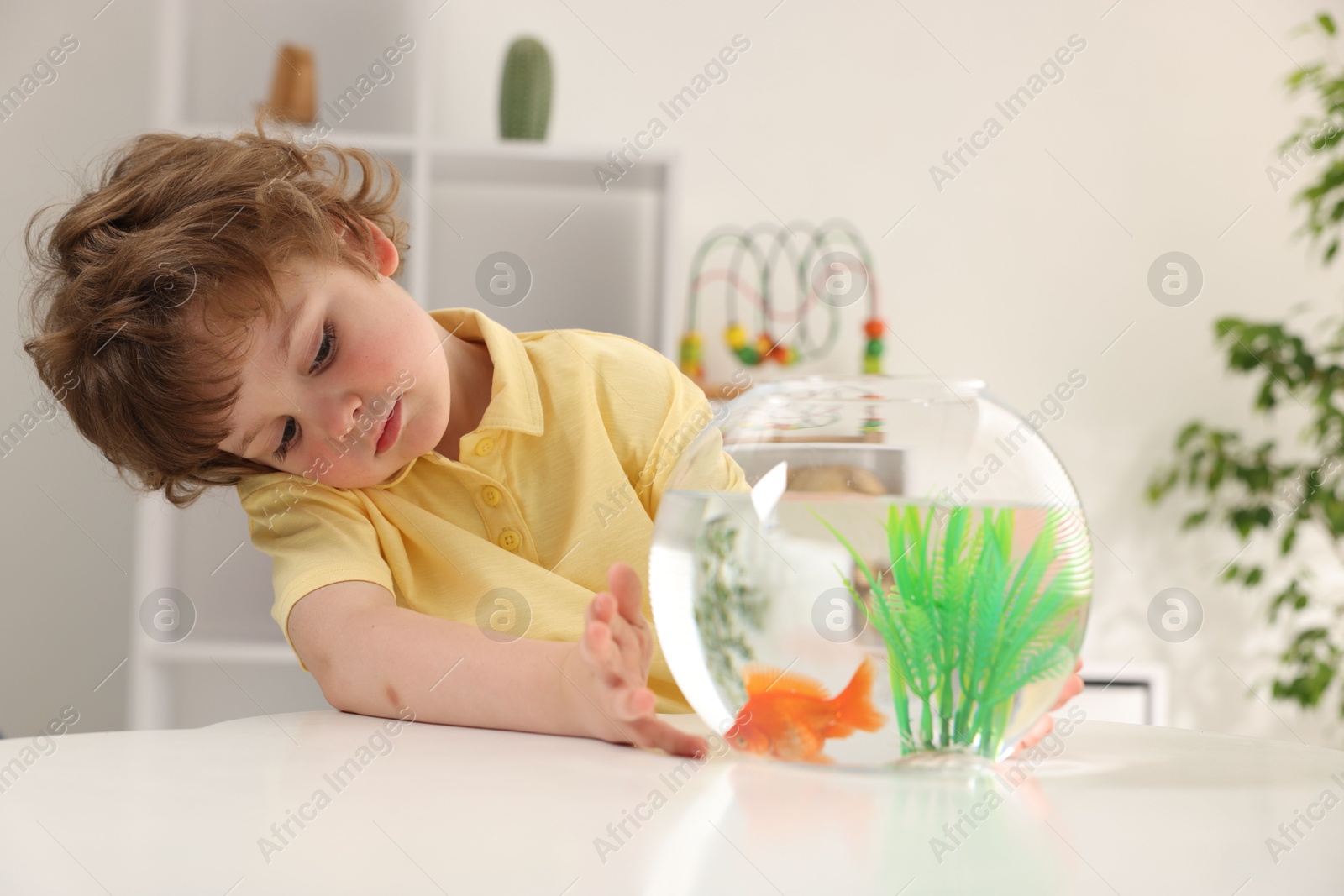 Photo of Little boy with goldfish in aquarium on table at home