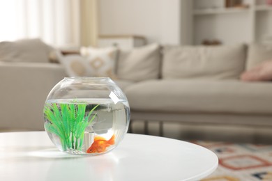 Photo of Goldfish in aquarium on table indoors. Space for text