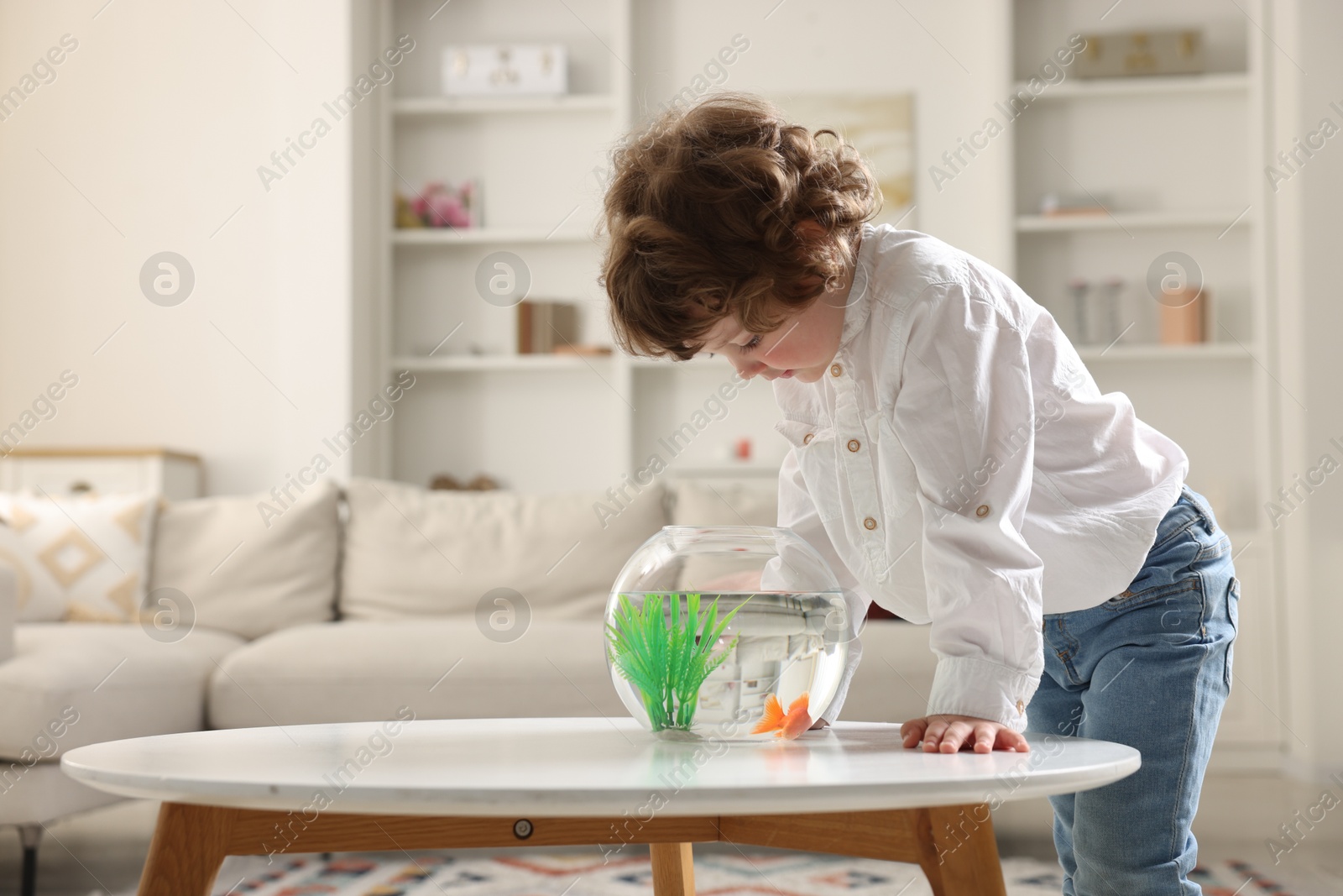 Photo of Little boy with goldfish in aquarium on table at home