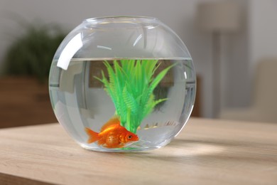 Photo of Goldfish in aquarium on table indoors, closeup