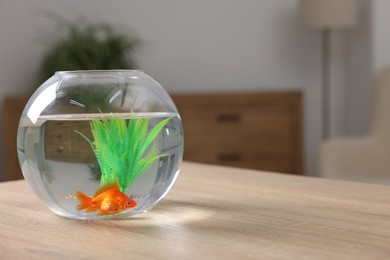 Photo of Goldfish in aquarium on table indoors. Space for text