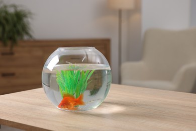 Photo of Goldfish in aquarium on wooden table indoors