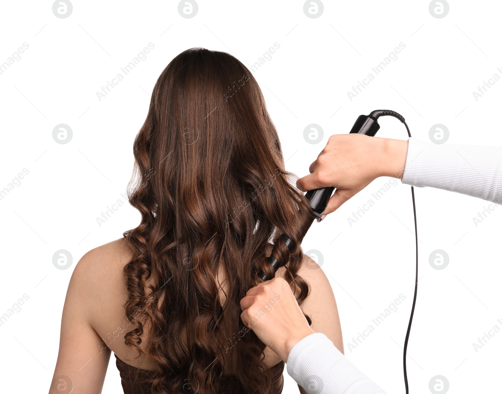 Photo of Hairdresser curling woman's hair on white background, back view