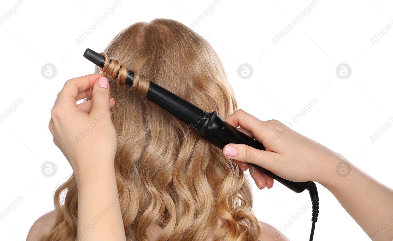 Photo of Hairdresser curling woman's hair on white background, back view