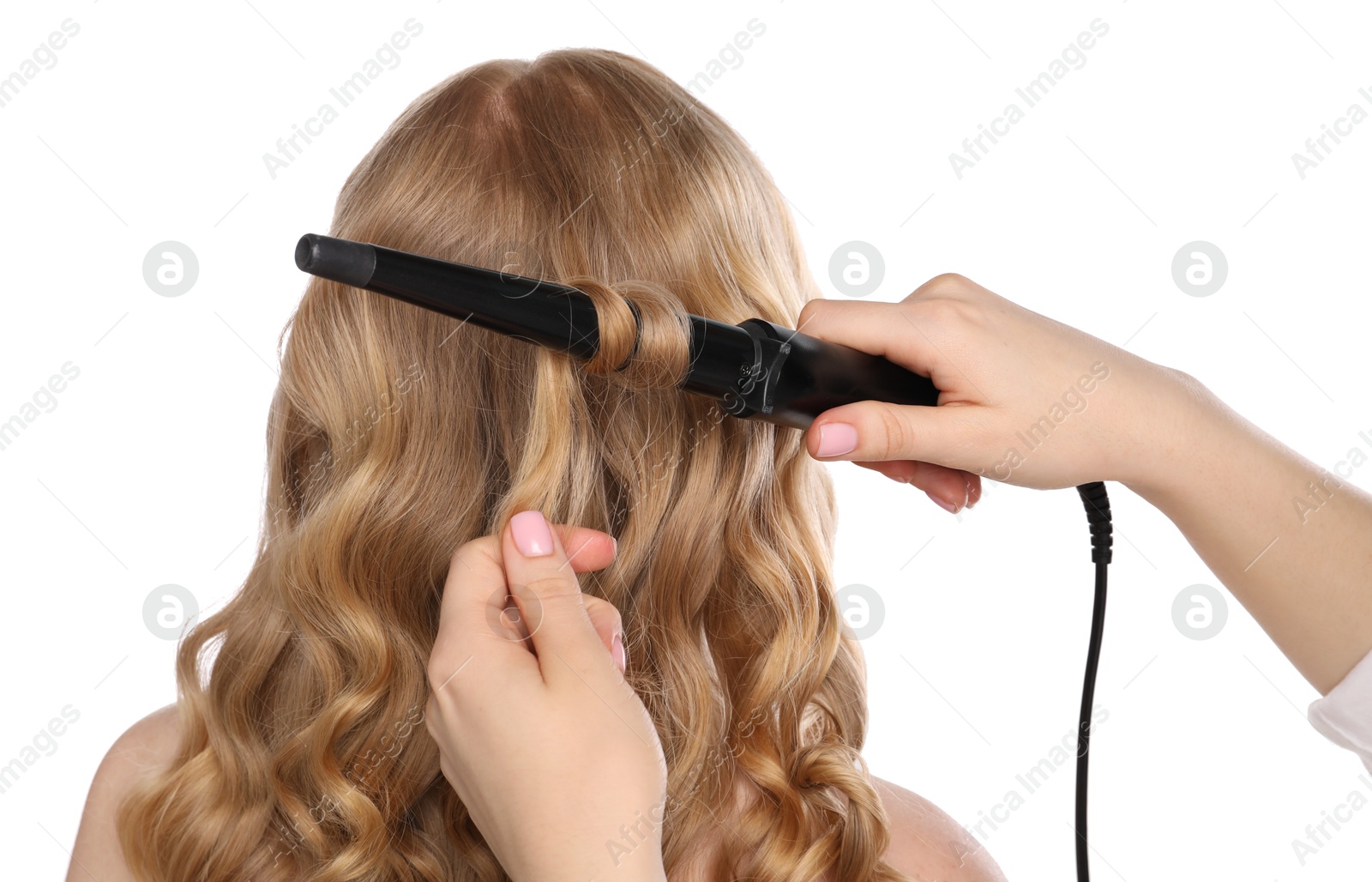 Photo of Hairdresser curling woman's hair on white background, back view
