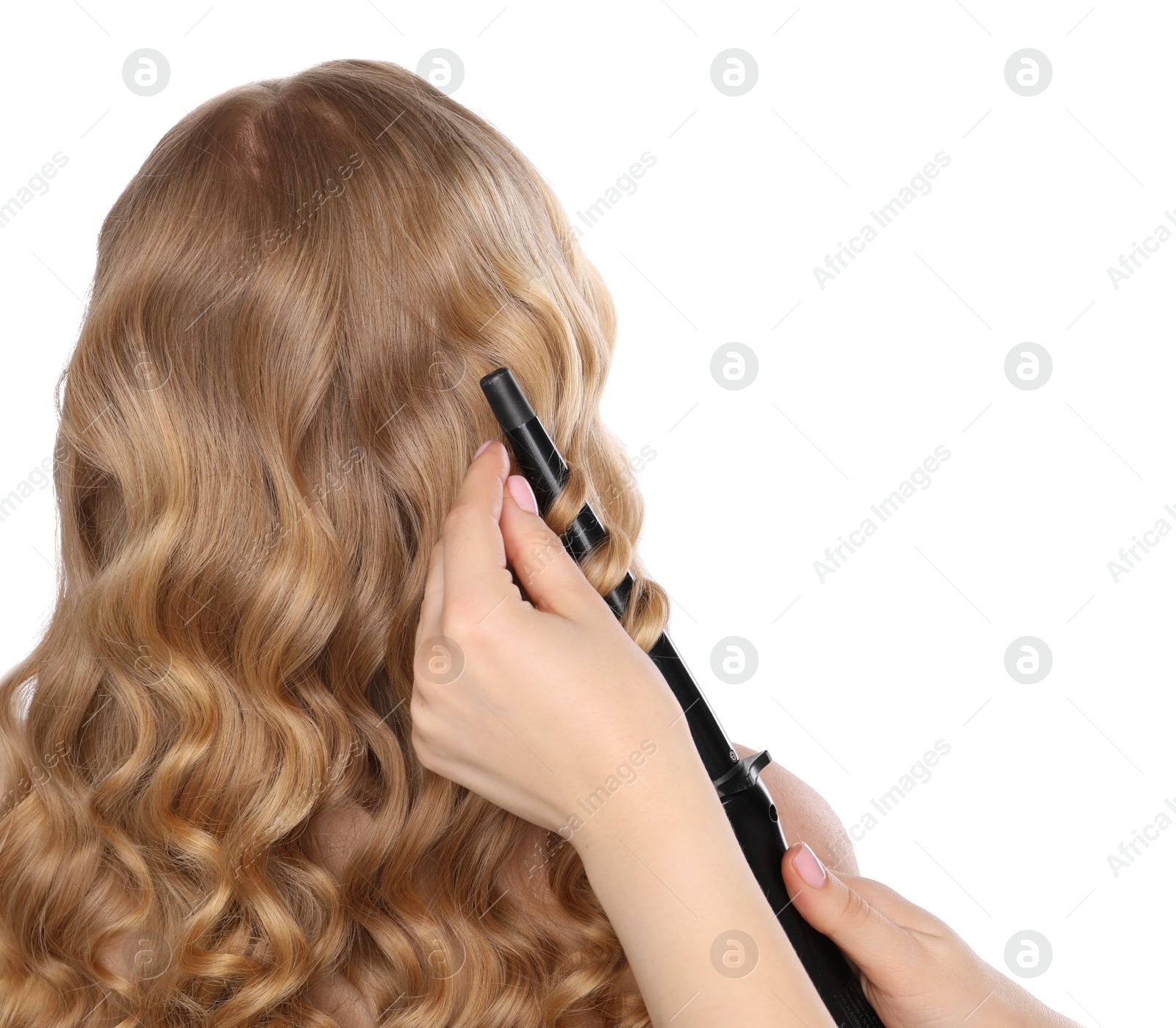 Photo of Hairdresser curling woman's hair on white background, back view