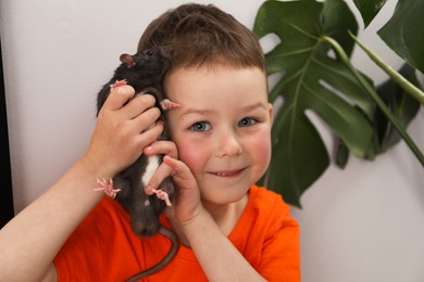 Photo of Little boy with his pet rat at home