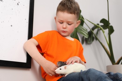 Photo of Little boy with his pet rats at home