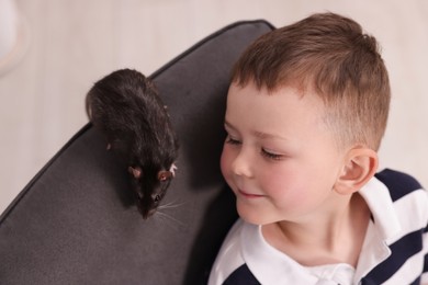 Photo of Little boy with his pet rat on armchair at home