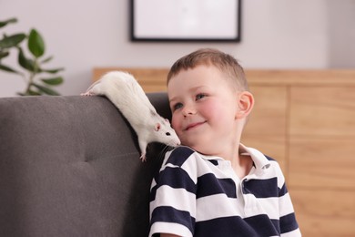 Photo of Little boy with his pet rat on armchair at home