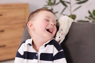 Photo of Little boy with his pet rat on armchair at home