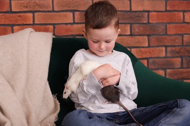 Photo of Little boy with his pet rats on sofa at home