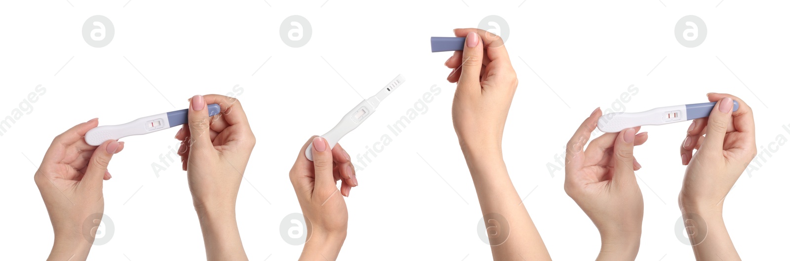 Women holding pregnancy tests on white background, closeup. Collage Image of Women holding pregnancy tests on white background, closeup. Collage
