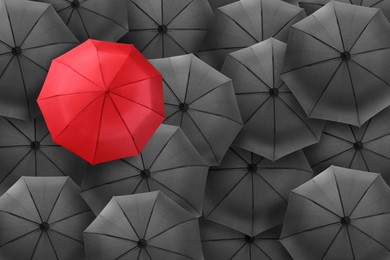 Image of Red umbrella among black ones, top view