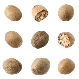 Image of Nutmeg seeds on white background, set. Aromatic spice