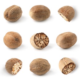 Image of Nutmeg seeds on white background, set. Aromatic spice