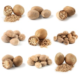 Image of Nutmeg seeds on white background, set. Aromatic spice