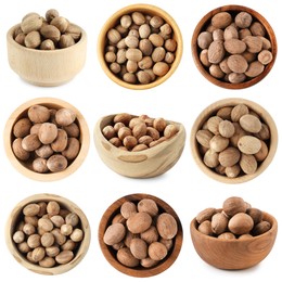 Image of Nutmeg seeds in bowls on white background, set