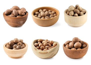 Image of Nutmeg seeds in bowls on white background, set