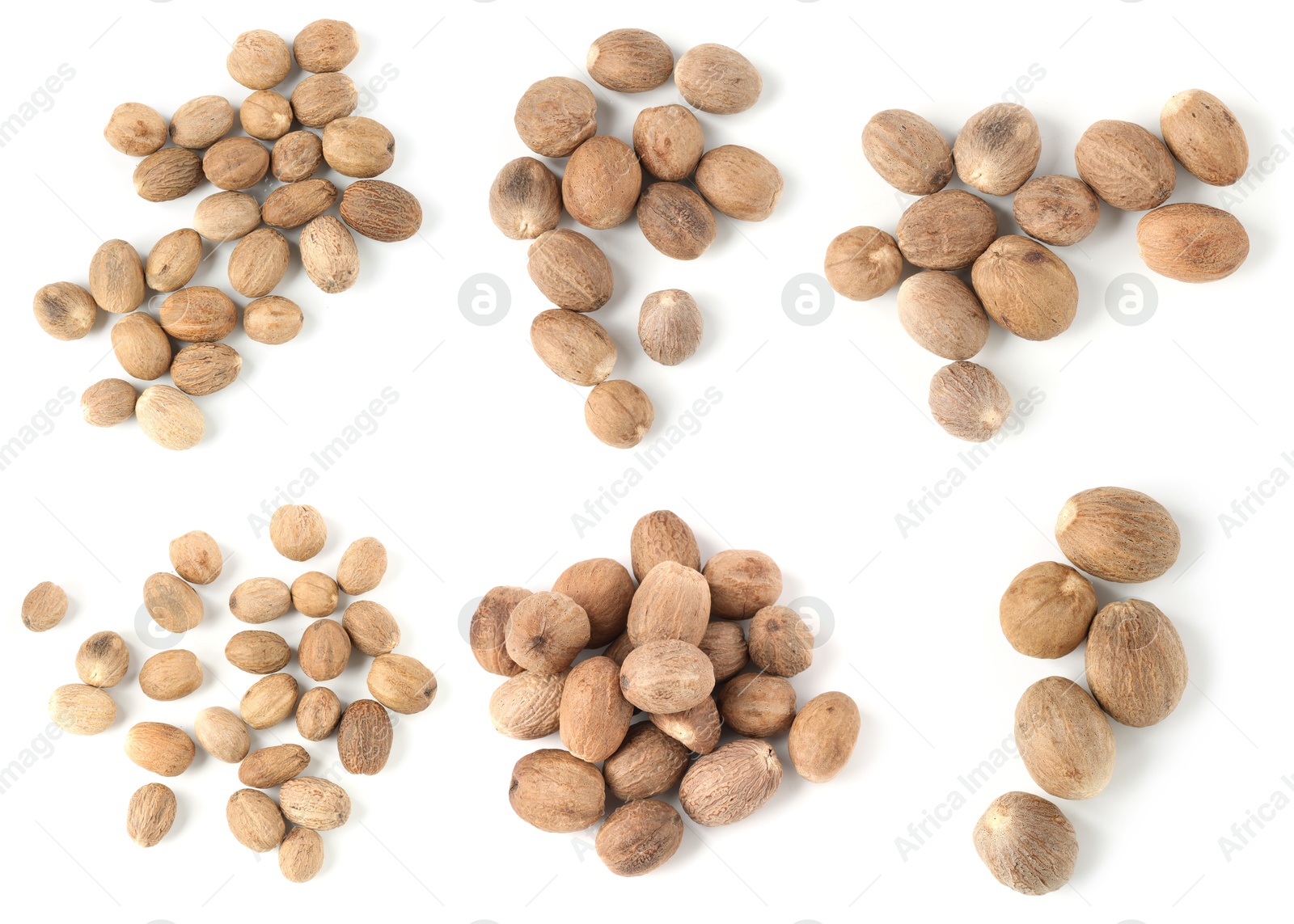 Nutmeg seeds on white background, set. Top view Image of Nutmeg seeds on white background, set. Top view