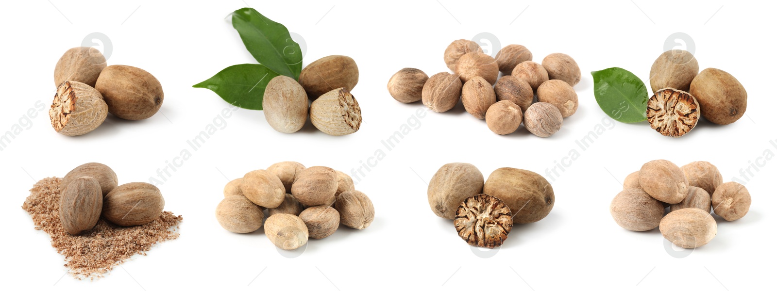 Nutmeg seeds on white background, set. Aromatic spice Image of Nutmeg seeds on white background, set. Aromatic spice