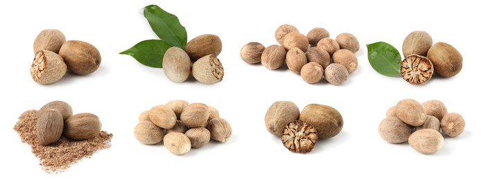 Image of Nutmeg seeds on white background, set. Aromatic spice