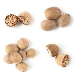 Image of Nutmeg seeds on white background, set. Top view