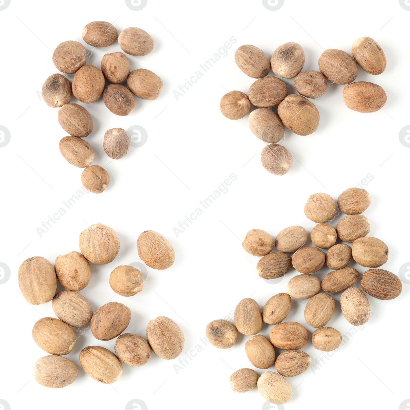 Nutmeg seeds on white background, set. Top view Image of Nutmeg seeds on white background, set. Top view