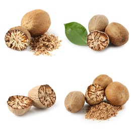 Image of Nutmeg seeds on white background, set. Aromatic spice