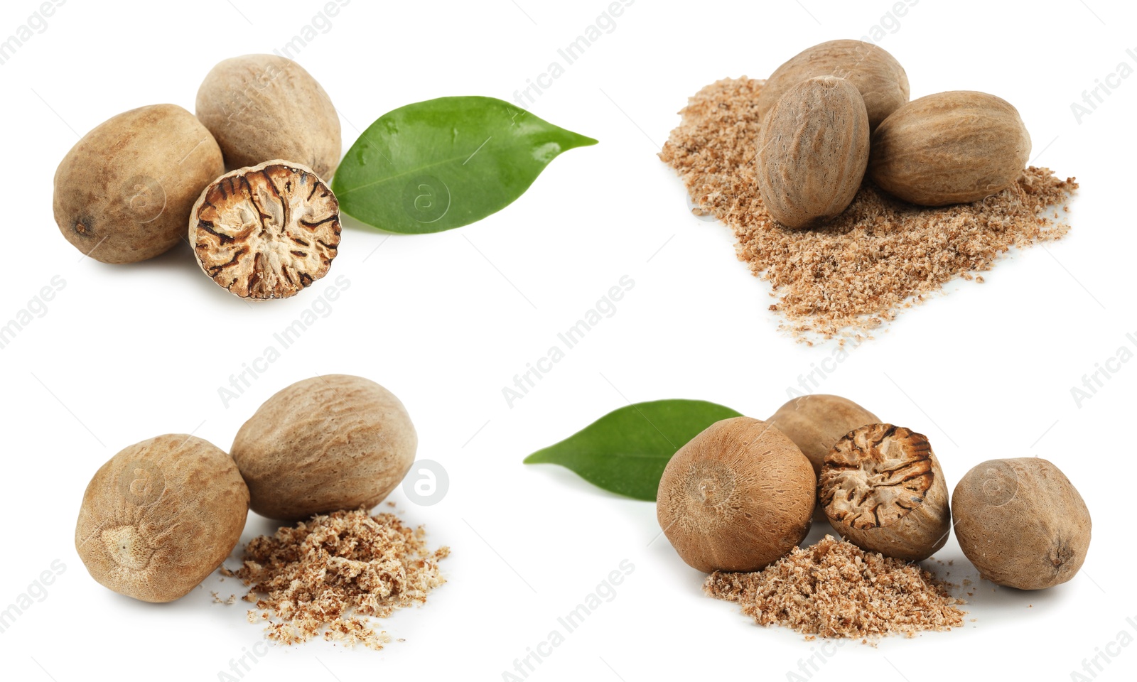 Nutmeg seeds on white background, set. Aromatic spice Image of Nutmeg seeds on white background, set. Aromatic spice