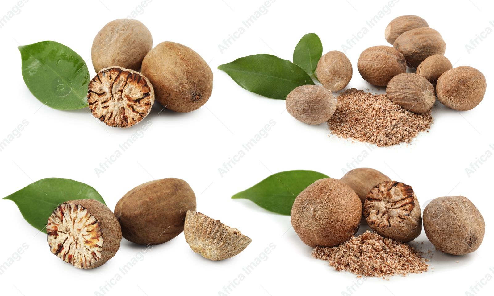 Nutmeg seeds on white background, set. Aromatic spice Image of Nutmeg seeds on white background, set. Aromatic spice