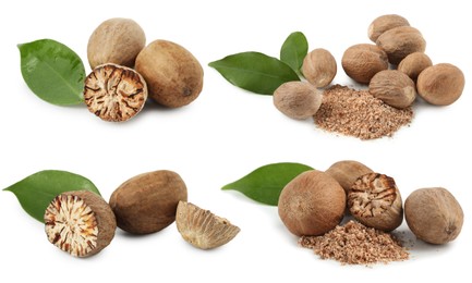 Image of Nutmeg seeds on white background, set. Aromatic spice