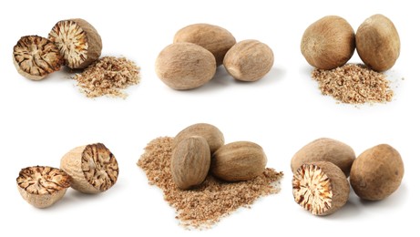 Image of Nutmeg seeds on white background, set. Aromatic spice