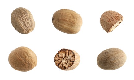 Image of Nutmeg seeds on white background, set. Aromatic spice
