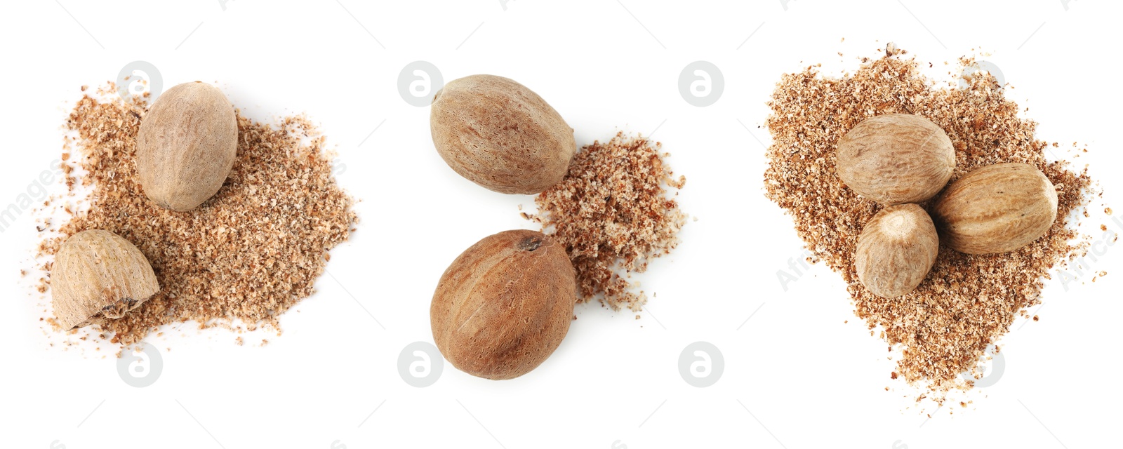 Nutmeg seeds on white background, set. Top view Image of Nutmeg seeds on white background, set. Top view