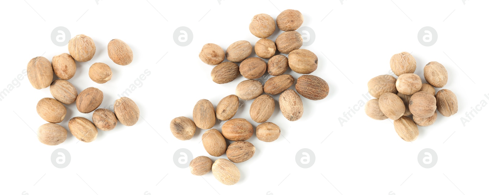 Nutmeg seeds on white background, set. Top view Image of Nutmeg seeds on white background, set. Top view