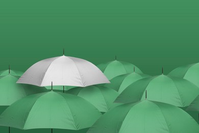 Image of White umbrella among green ones against color background