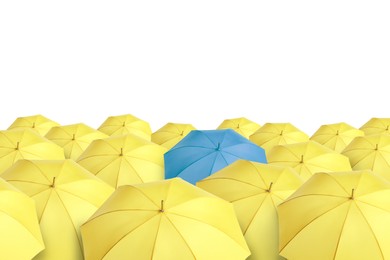 Image of Blue umbrella among yellow ones against white background