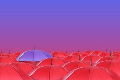 Image of Violet umbrella among red ones against color gradient background