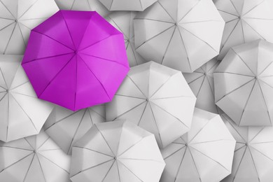 Image of Violet umbrella among white ones, top view