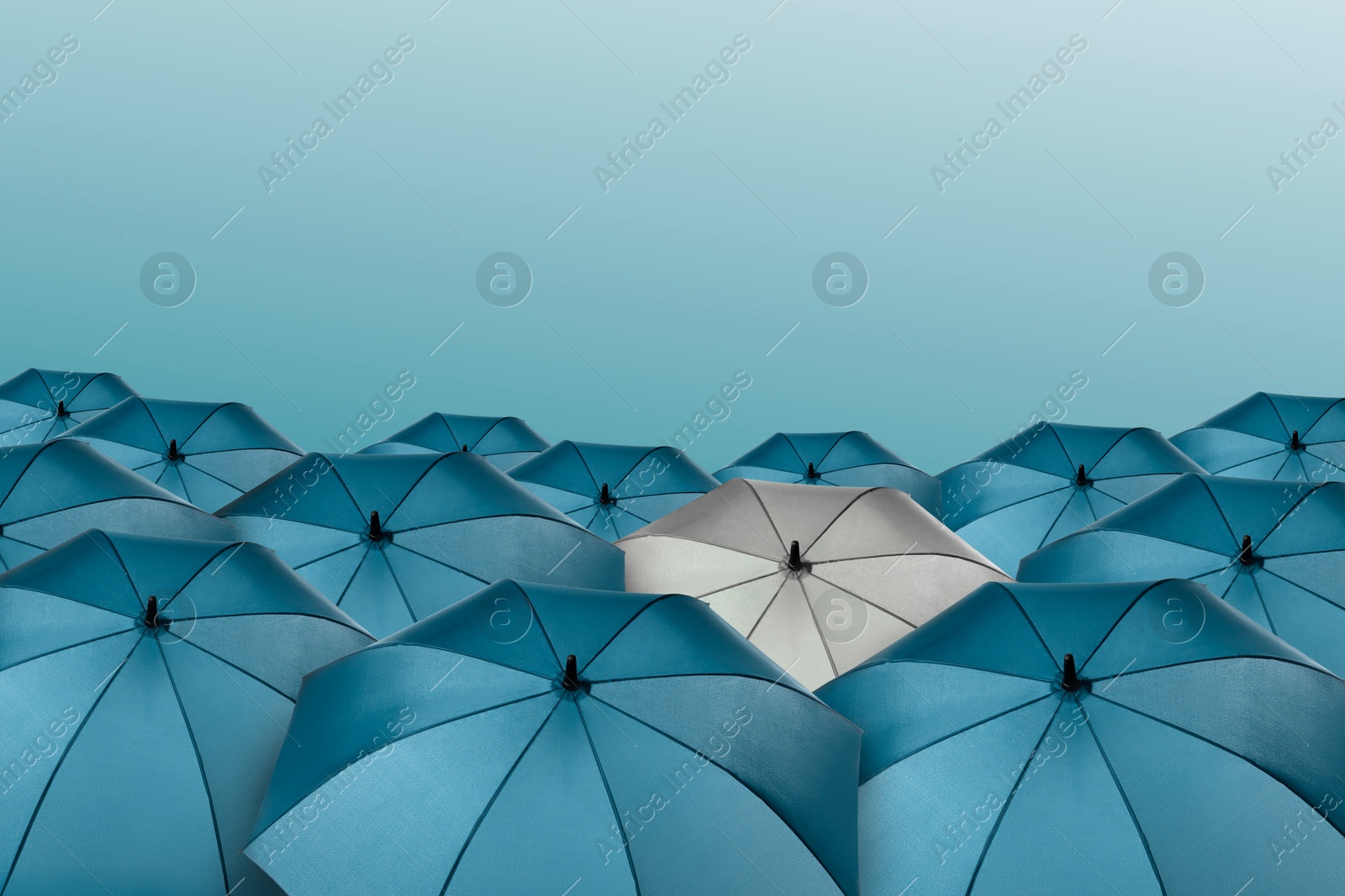 White umbrella among blue ones against color background Image of White umbrella among blue ones against color background