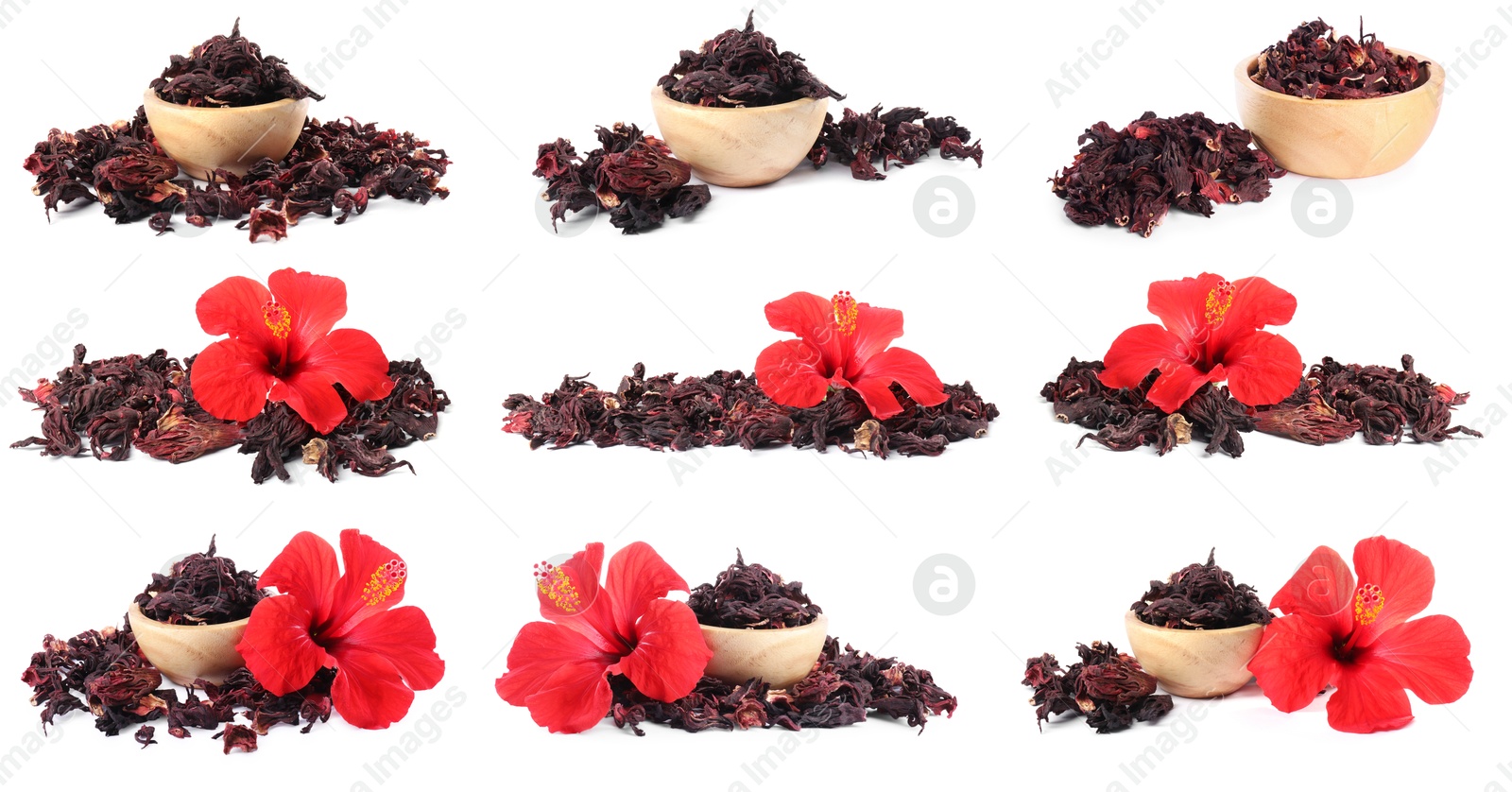 Hibiscus tea. Fresh flowers and dried calyces isolated on white, set Image of Hibiscus tea. Fresh flowers and dried calyces isolated on white, set