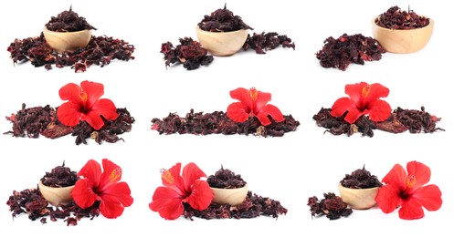 Image of Hibiscus tea. Fresh flowers and dried calyces isolated on white, set
