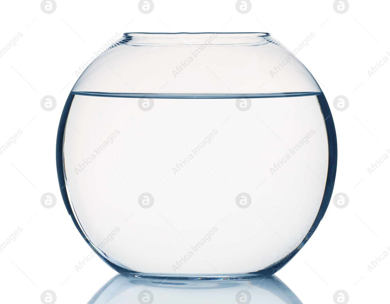 Glass aquarium with water isolated on white Photo of Glass aquarium with water isolated on white