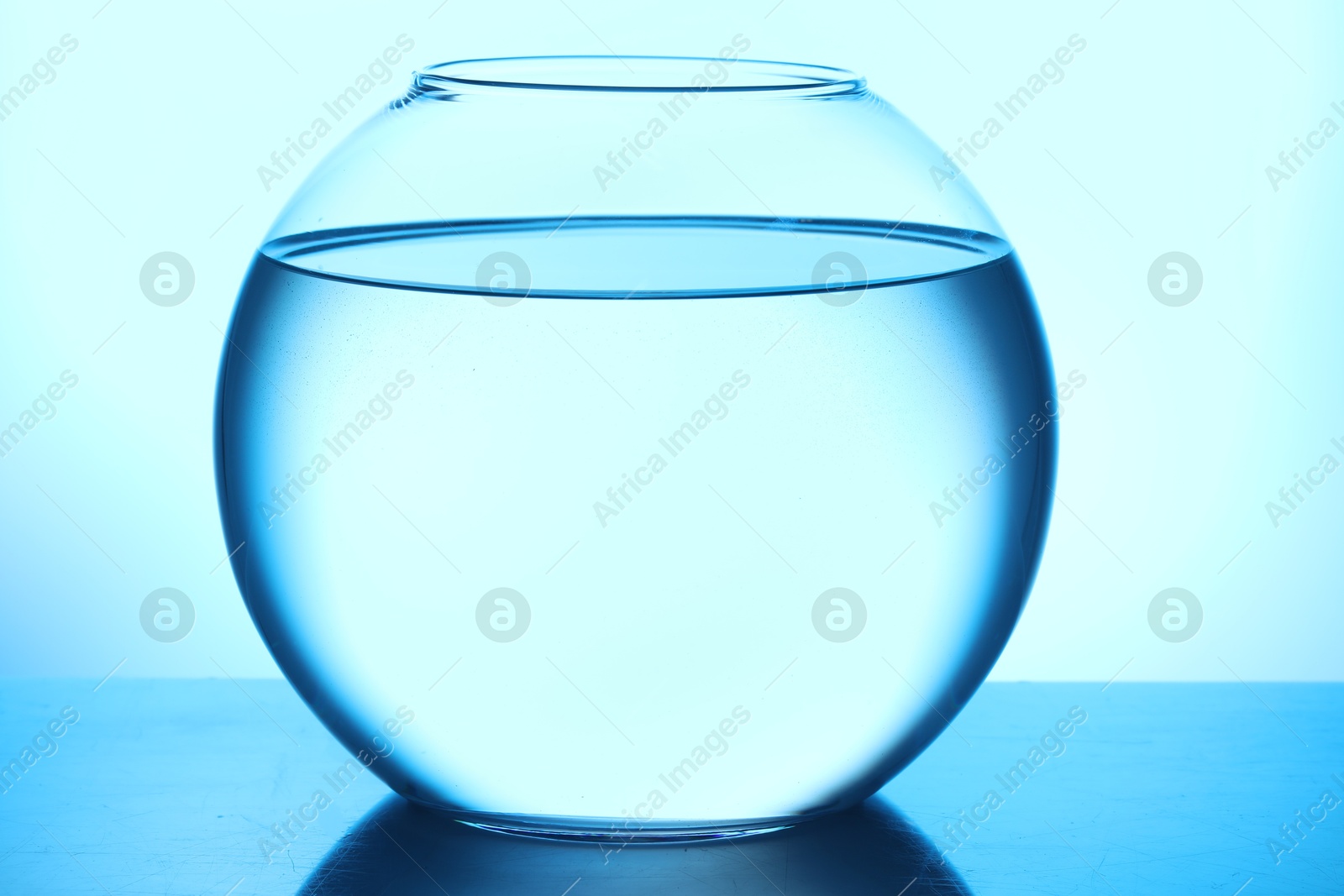 Glass aquarium with water on light blue background Photo of Glass aquarium with water on light blue background