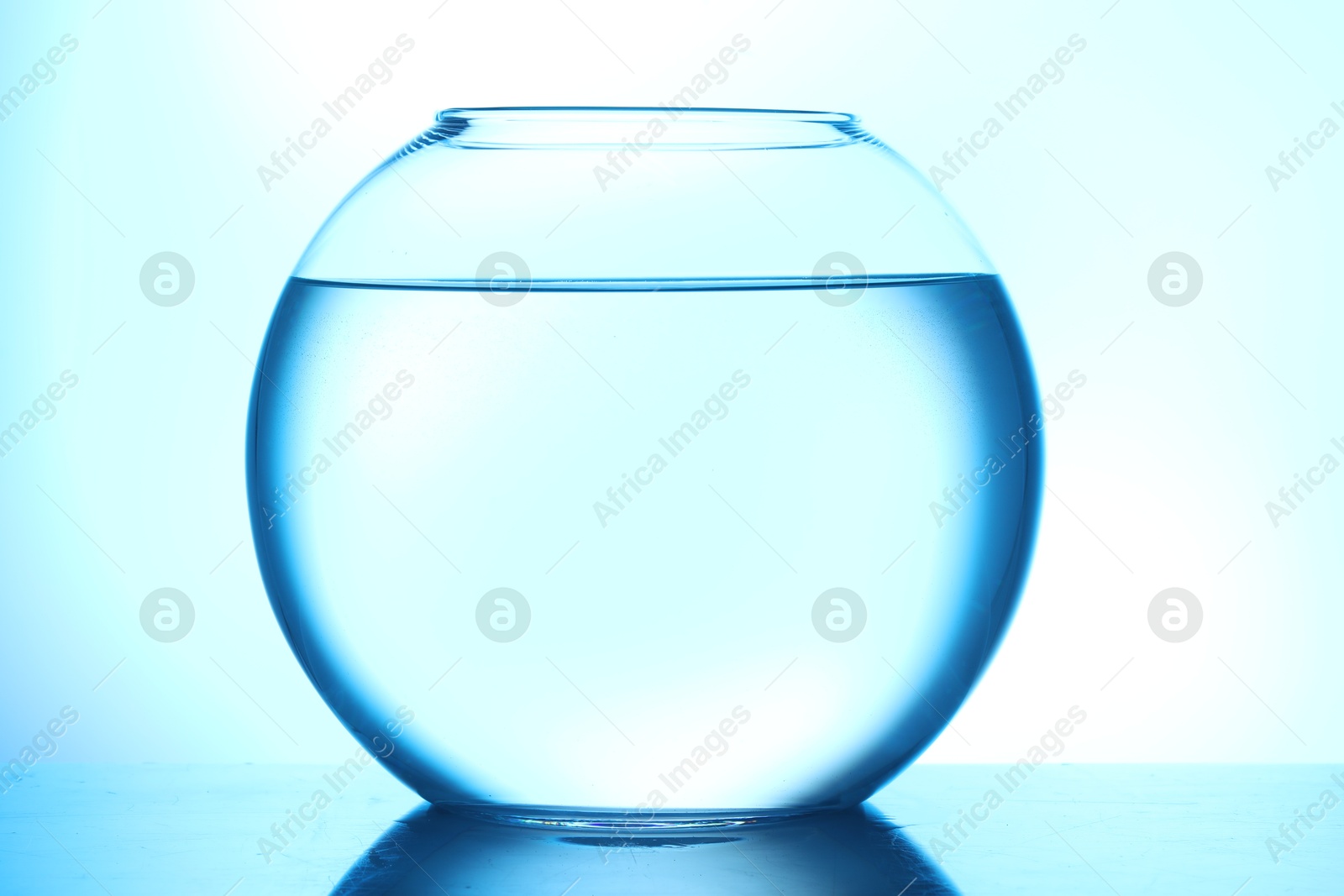 Glass aquarium with water on light blue background Photo of Glass aquarium with water on light blue background