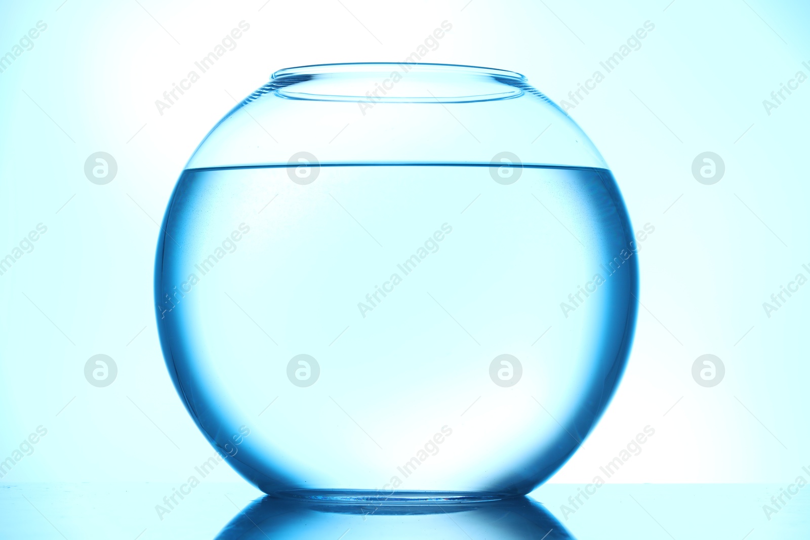 Glass aquarium with water on light blue background Photo of Glass aquarium with water on light blue background
