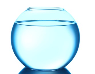 Photo of Glass aquarium with water isolated on white
