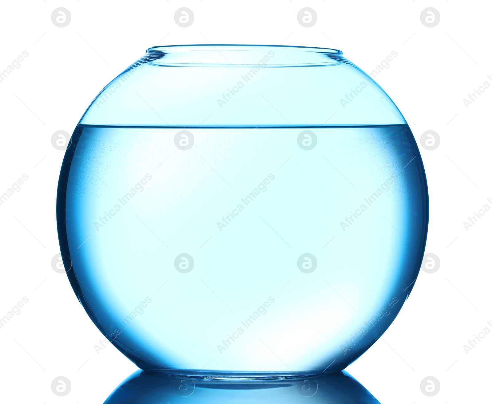Glass aquarium with water isolated on white Photo of Glass aquarium with water isolated on white