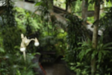 Photo of Blurred view of many different beautiful green plants growing outdoors